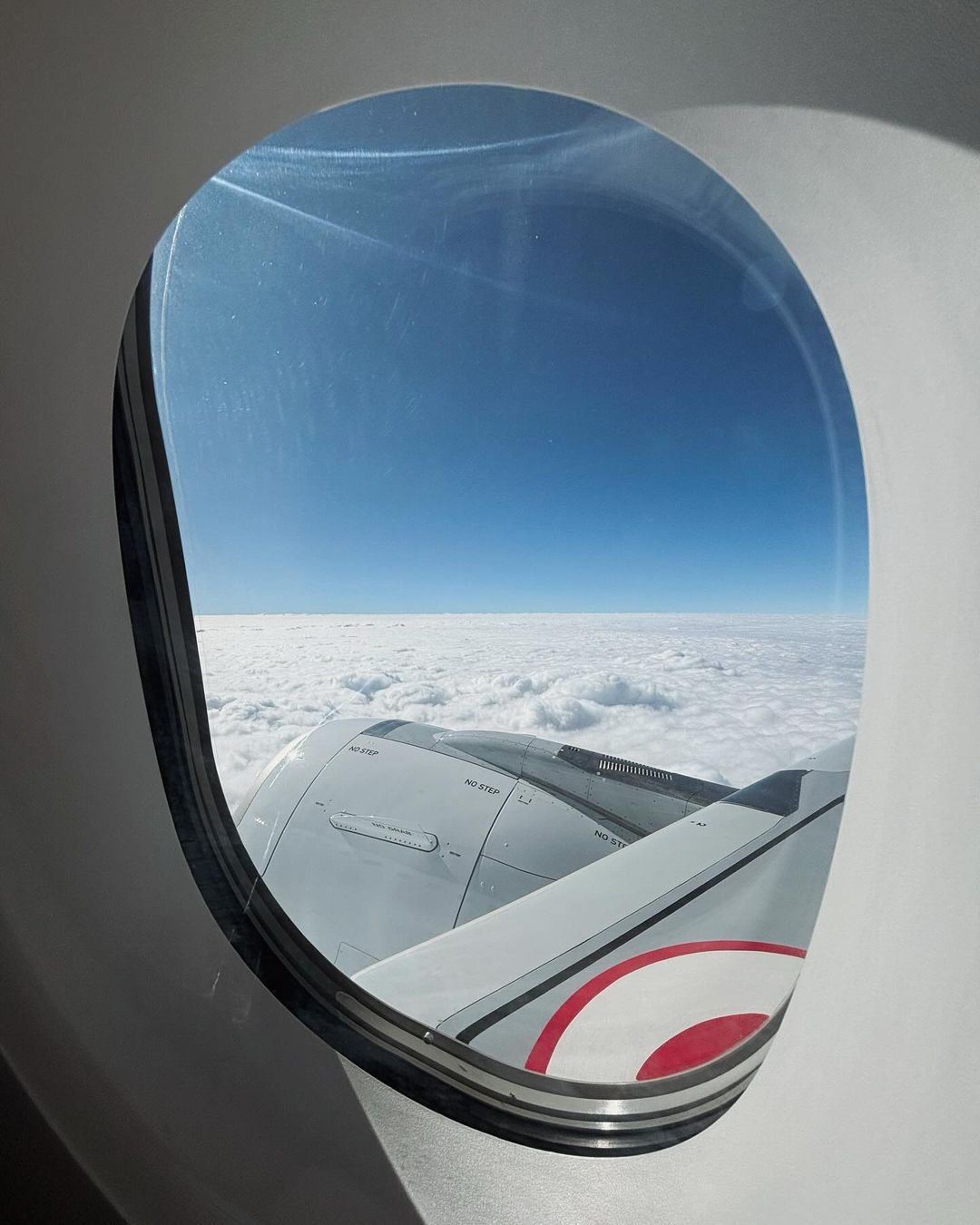 Jessica Alice Fotografia - 5