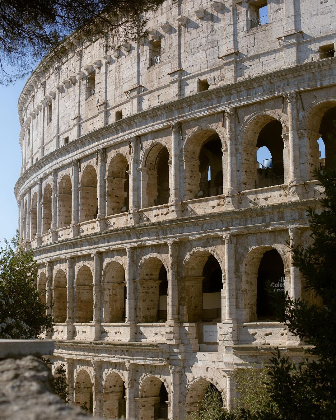 Jessica Alice Fotografia - 4