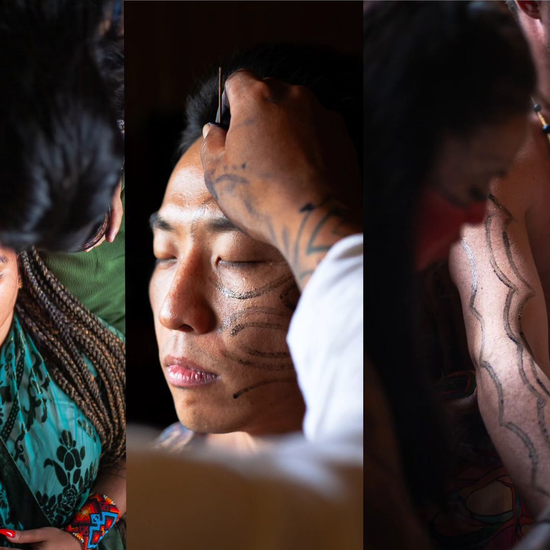 Foto e vídeo de ensaios, cobertura, documentários e muito mais... - 3