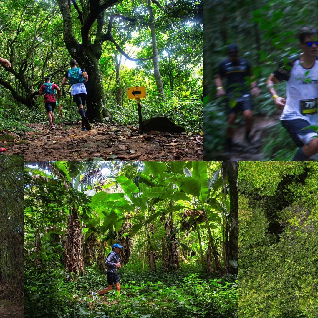 Foto e vídeo de ensaios, cobertura, documentários e muito mais... - 8