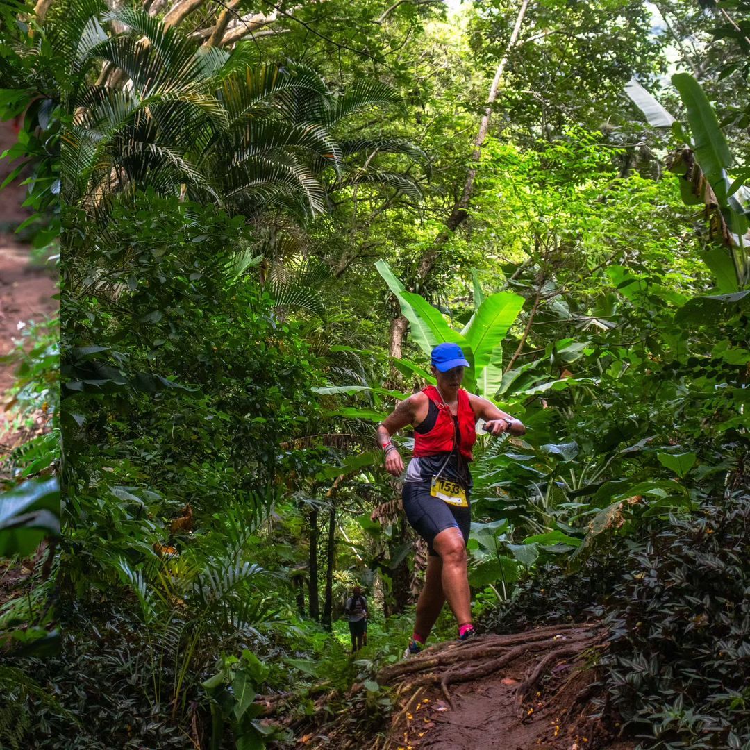 Foto e vídeo de ensaios, cobertura, documentários e muito mais... - 10