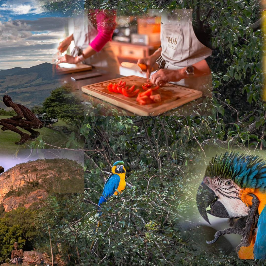 Foto e vídeo de ensaios, cobertura, documentários e muito mais... - 3