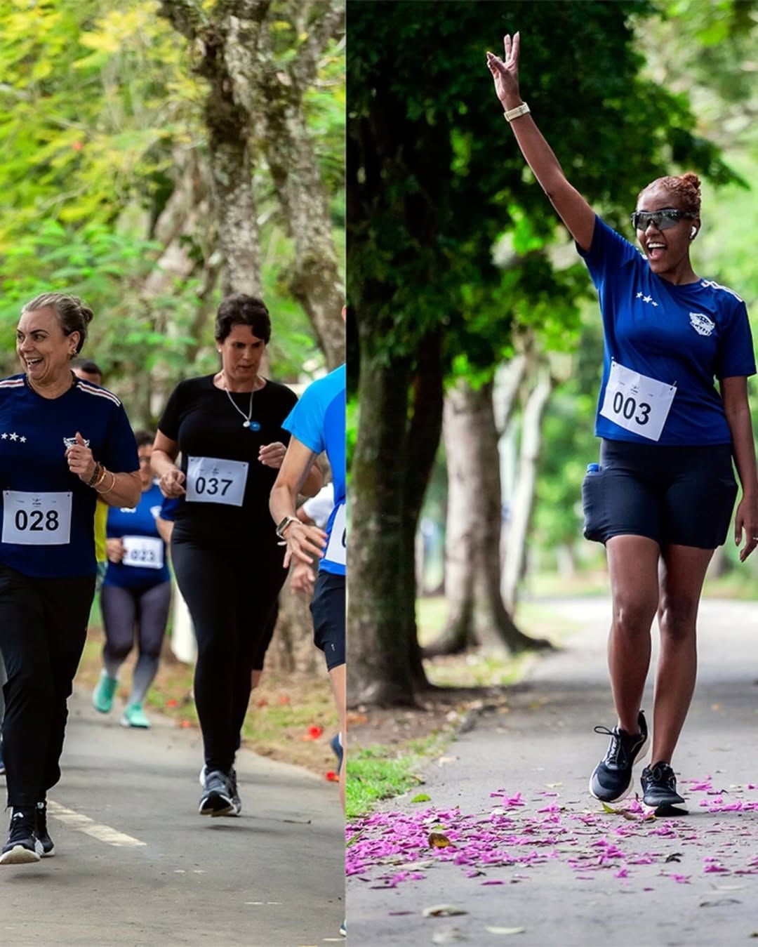 Foto e vídeo de ensaios, cobertura, documentários e muito mais... - 4