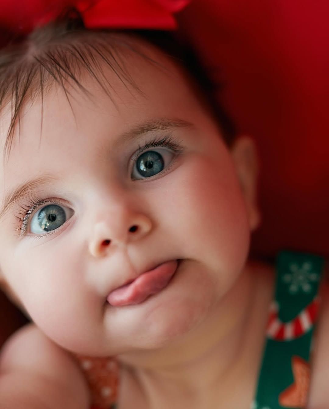 Ensaio de Natal da Liz e sua família - 4