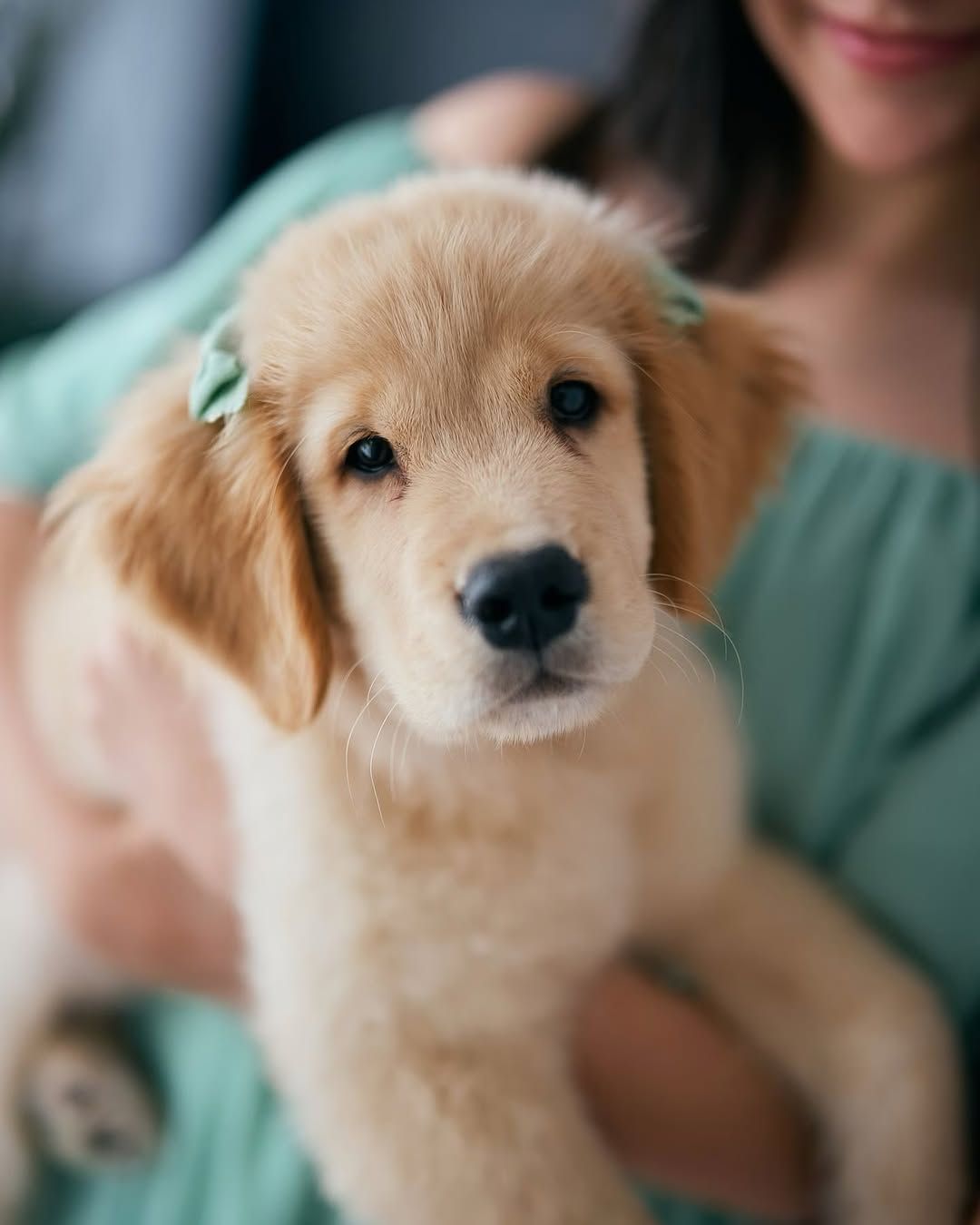 Ensaio de Natal da Família da Juci Vicente - 4