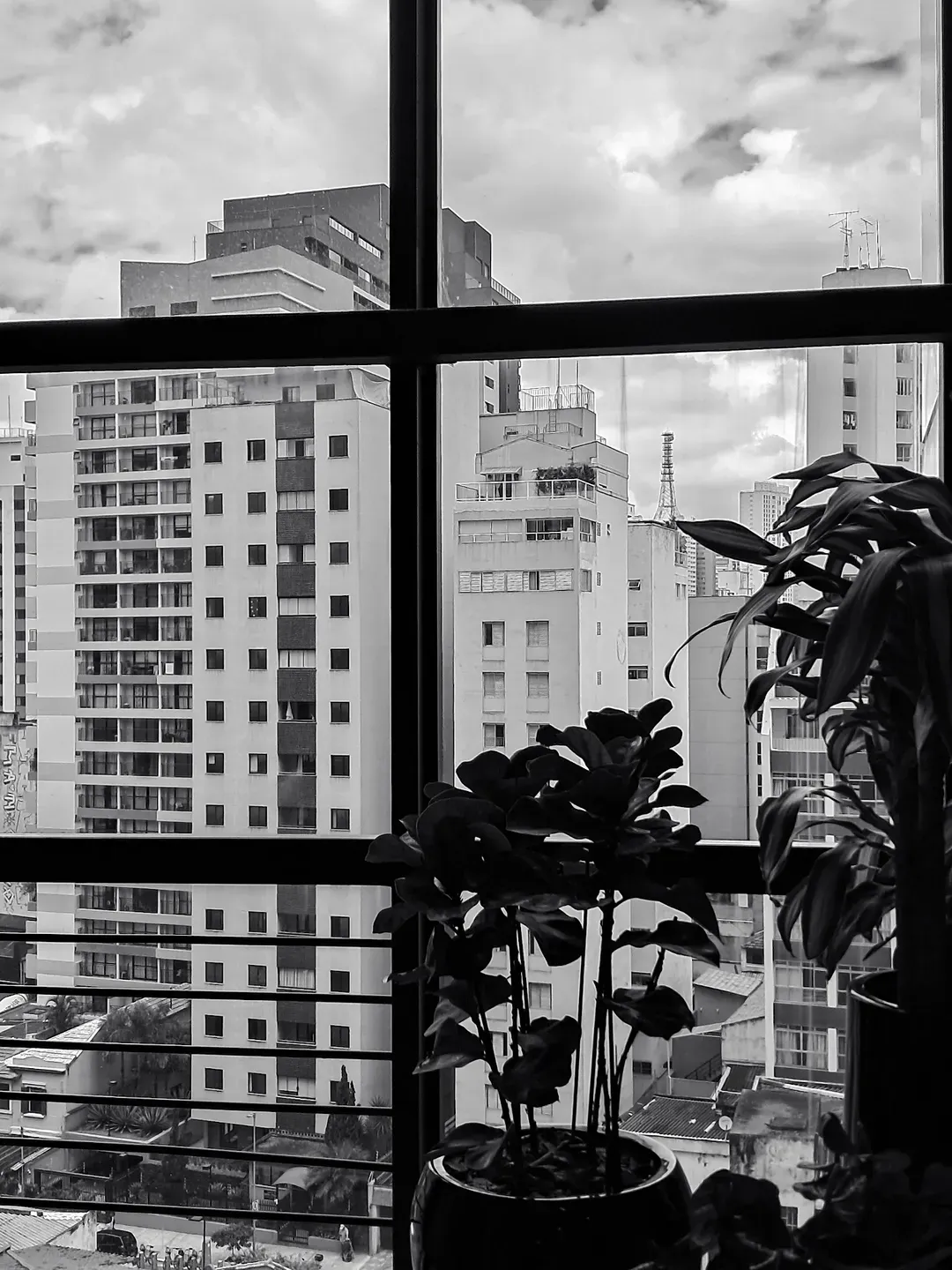 Risoneide Tavares Fotografia - 5