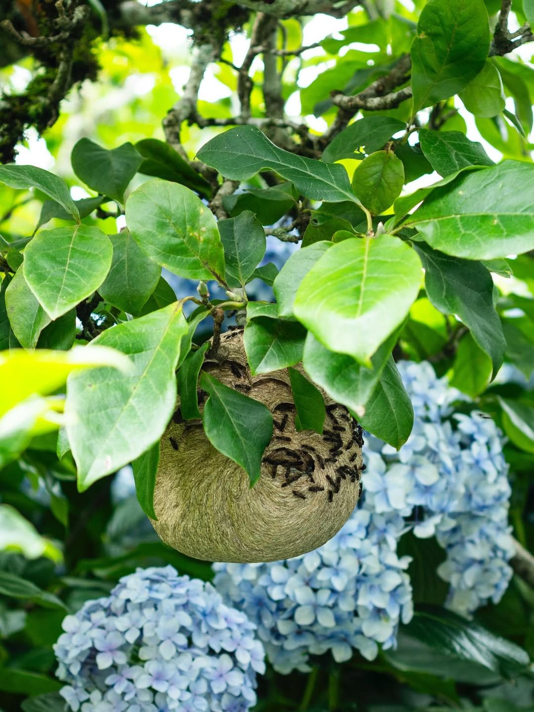 Quando a memória falhar você terá como se recordar de tudo que viveu - 4