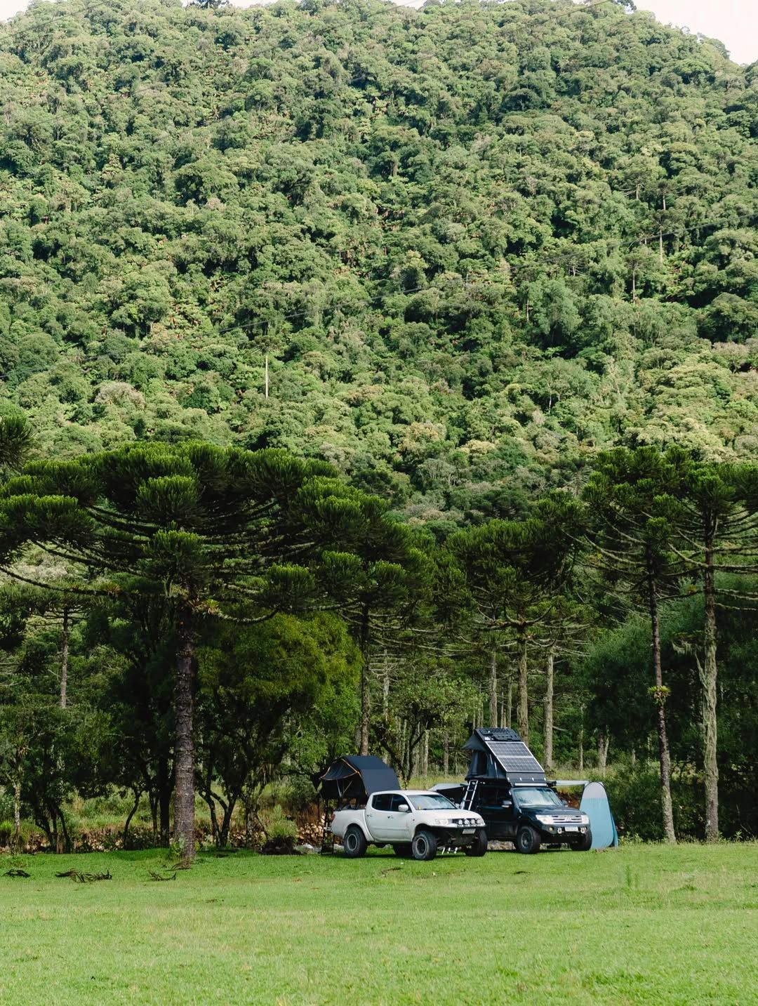 Quando a memória falhar você terá como se recordar de tudo que viveu - 11
