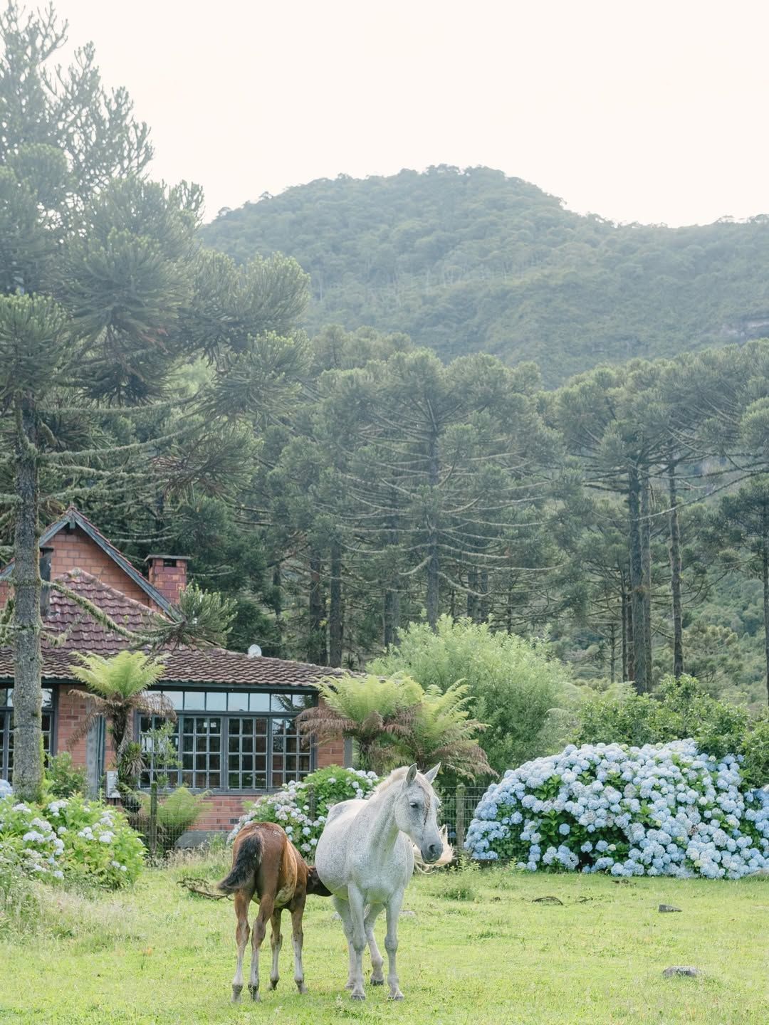Quando a memória falhar você terá como se recordar de tudo que viveu - 13