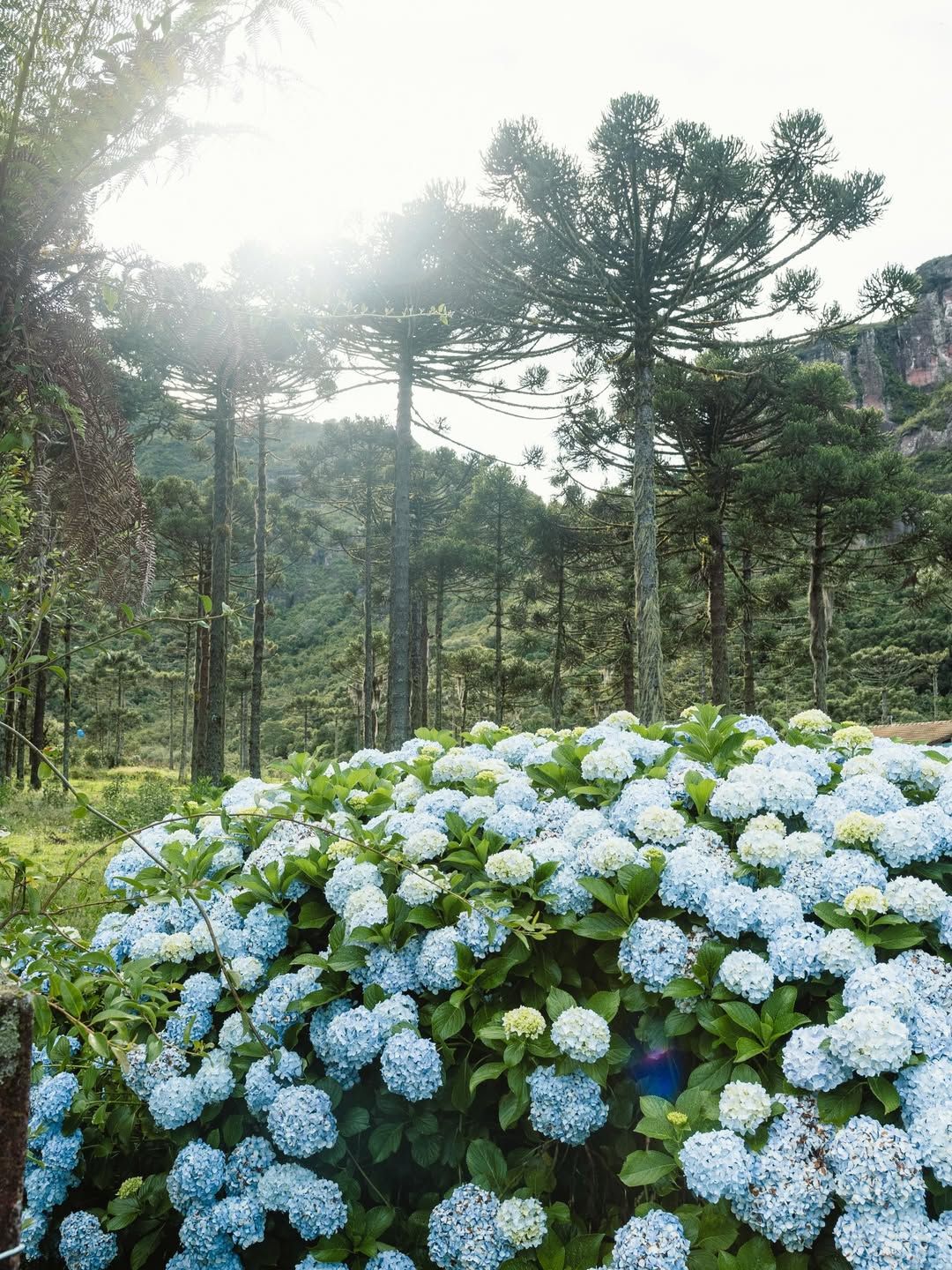 Quando a memória falhar você terá como se recordar de tudo que viveu - 14