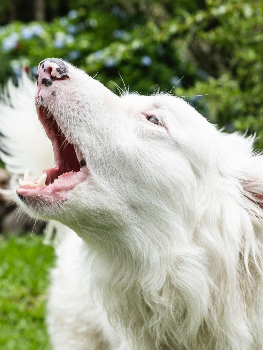 Quando a memória falhar você terá como se recordar de tudo que viveu - 18