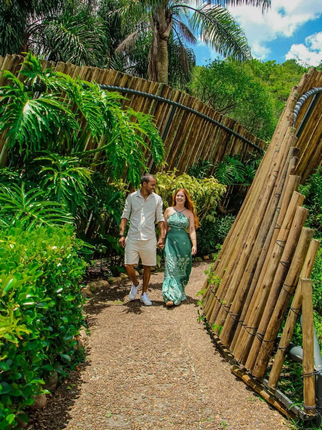 Pedido de casamento - 1