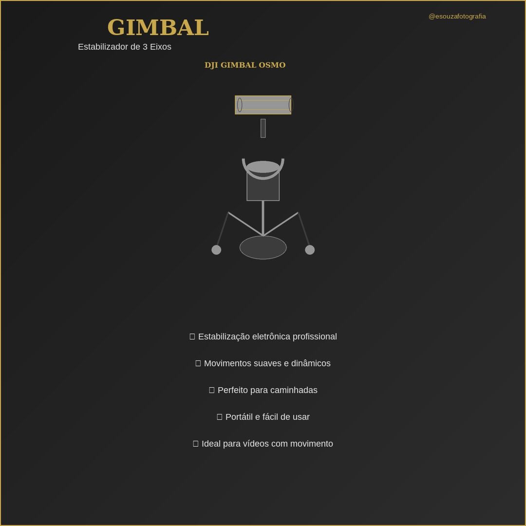 Cage ou Gimbal? - 3