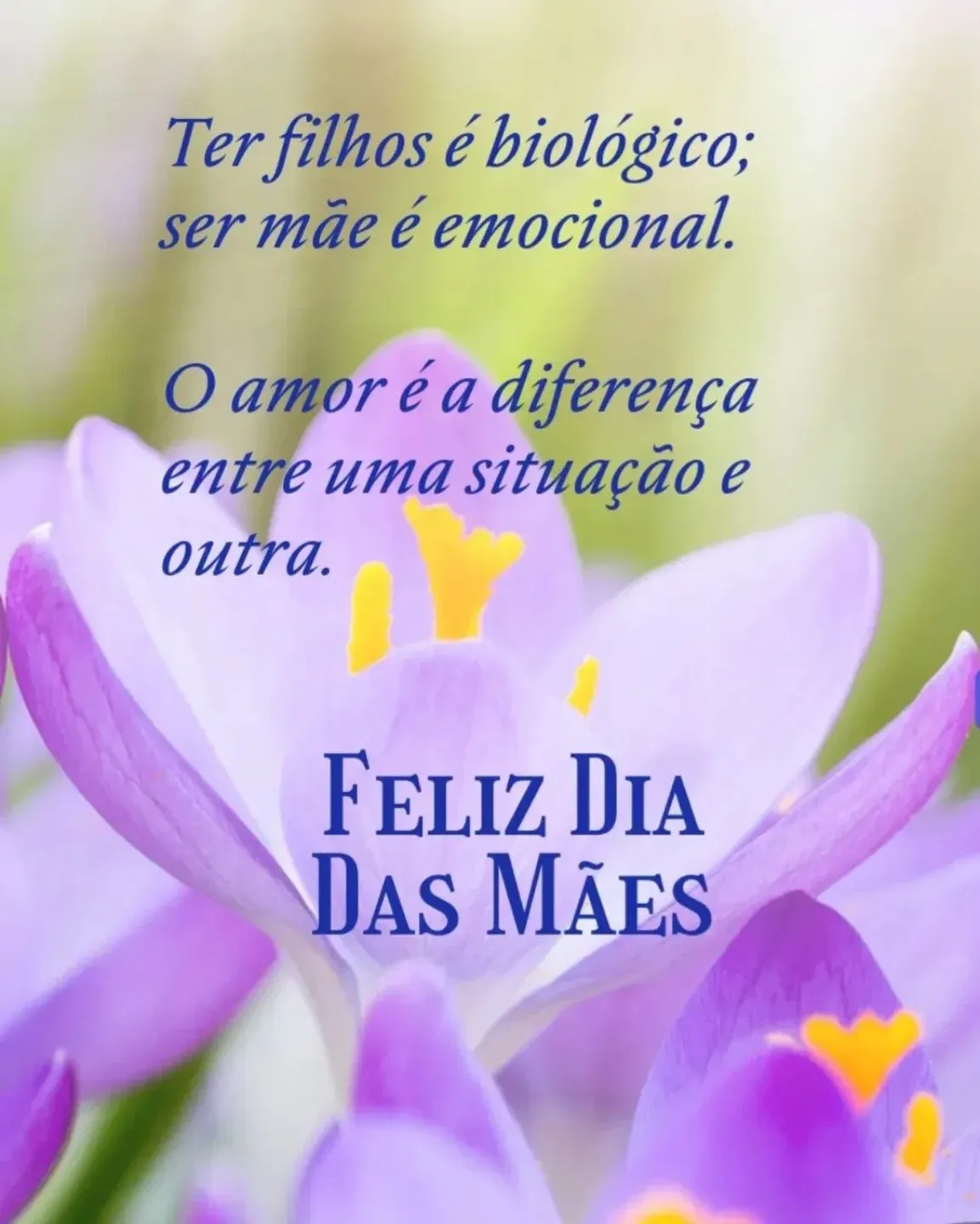 Ter filhos é biológico, ser mãe é emocional - 1