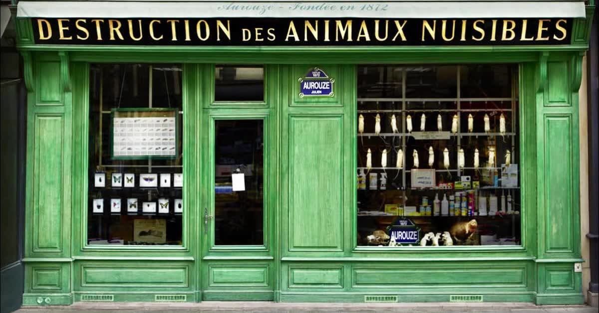 Paris com criança: um tour pelos cenários de famosos desenhos animados - 30