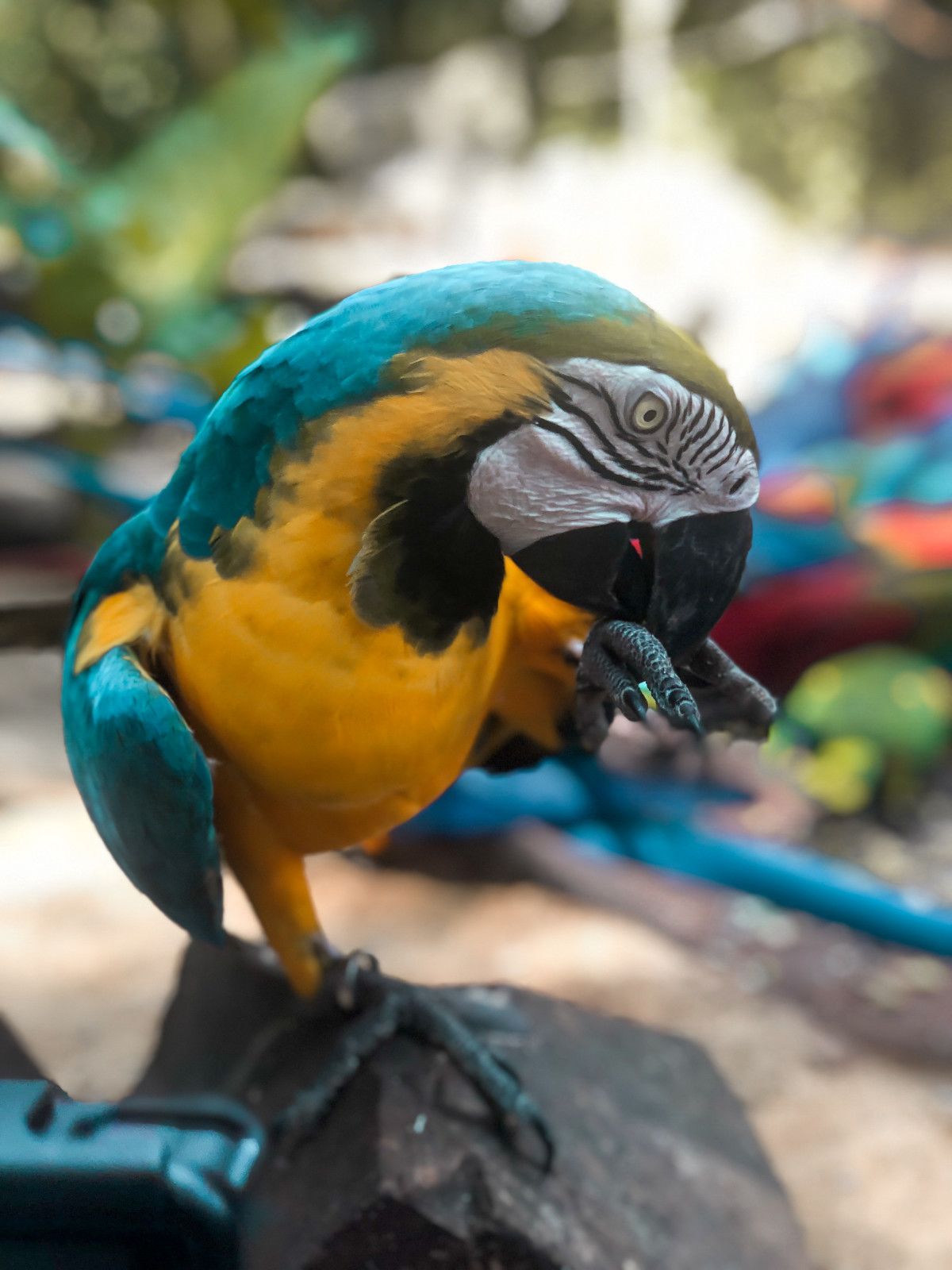 O que fazer em Foz do Iguaçu: dicas para o seu roteiro - 23