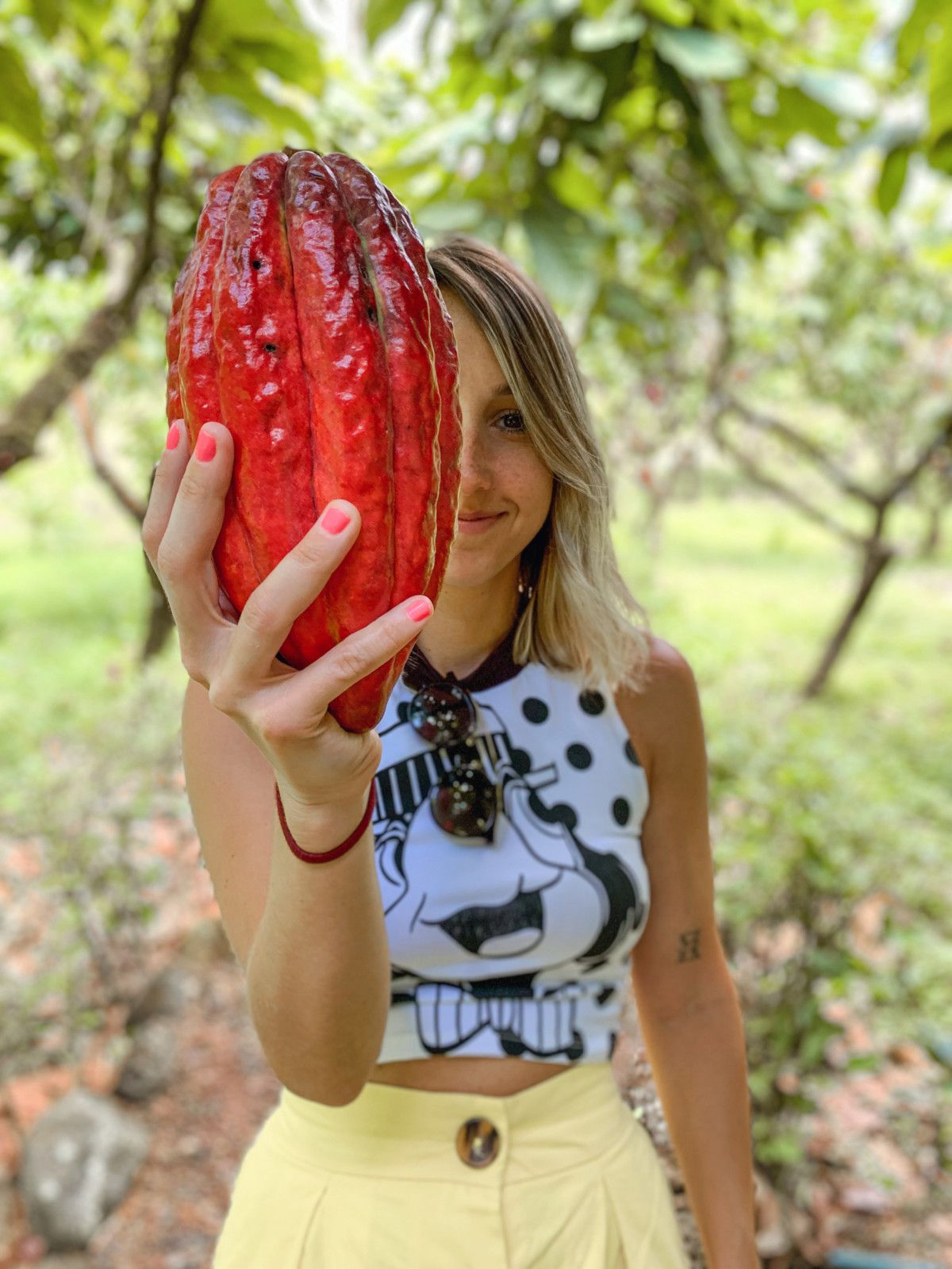 Curiosidades da Costa Rica: 10 coisas que você deveria saber! - 3