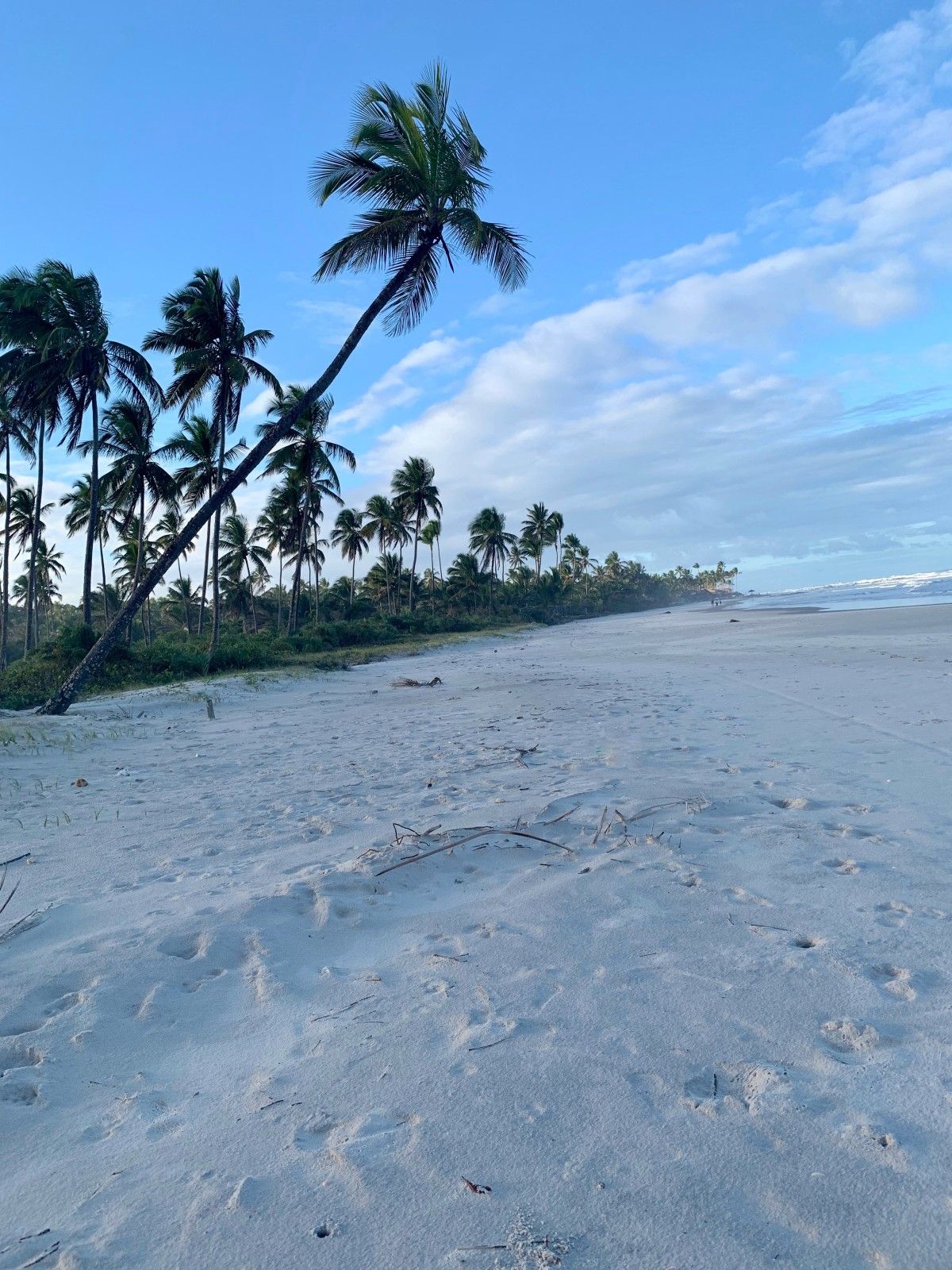 O que fazer em Ilhéus!  - 17