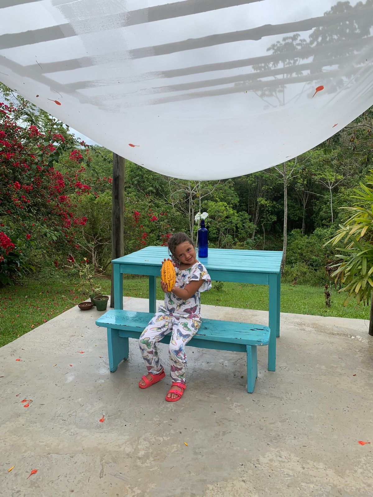 Como é visitar uma fazenda de cacau em Ilhéus: Fazenda Yrerê. - 1