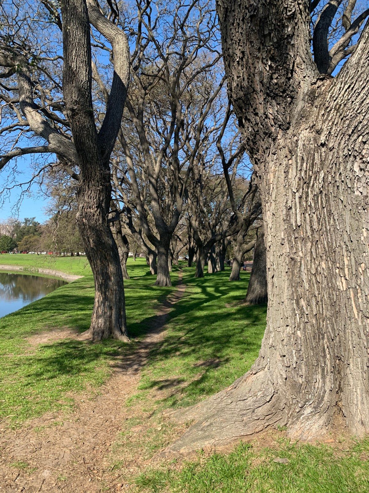 Jardins em Montevidéu. Conhecendo o Uruguai com crianças - 5