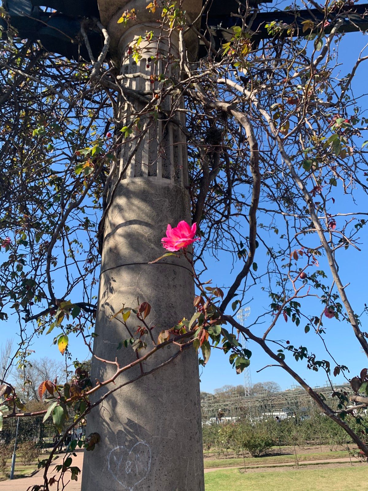 Jardins em Montevidéu. Conhecendo o Uruguai com crianças - 26