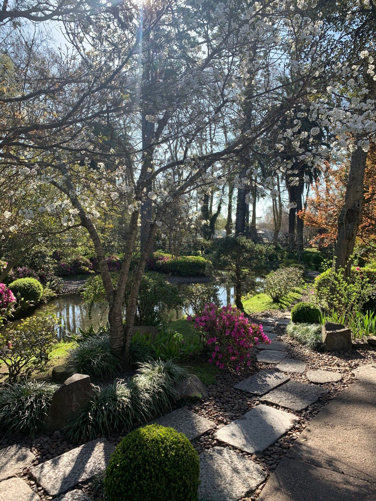 Jardins em Montevidéu. Conhecendo o Uruguai com crianças - 48