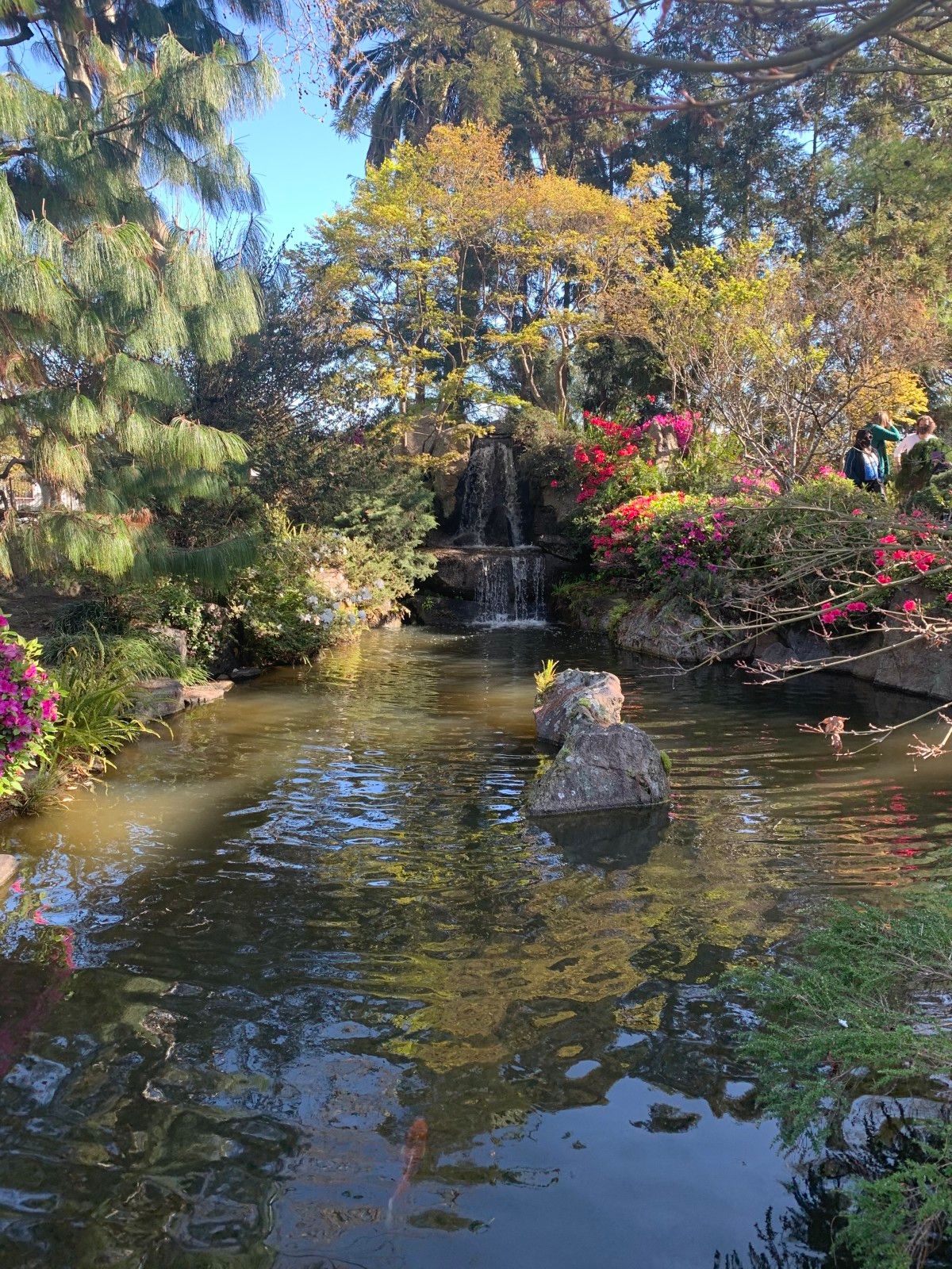 Jardins em Montevidéu. Conhecendo o Uruguai com crianças - 52