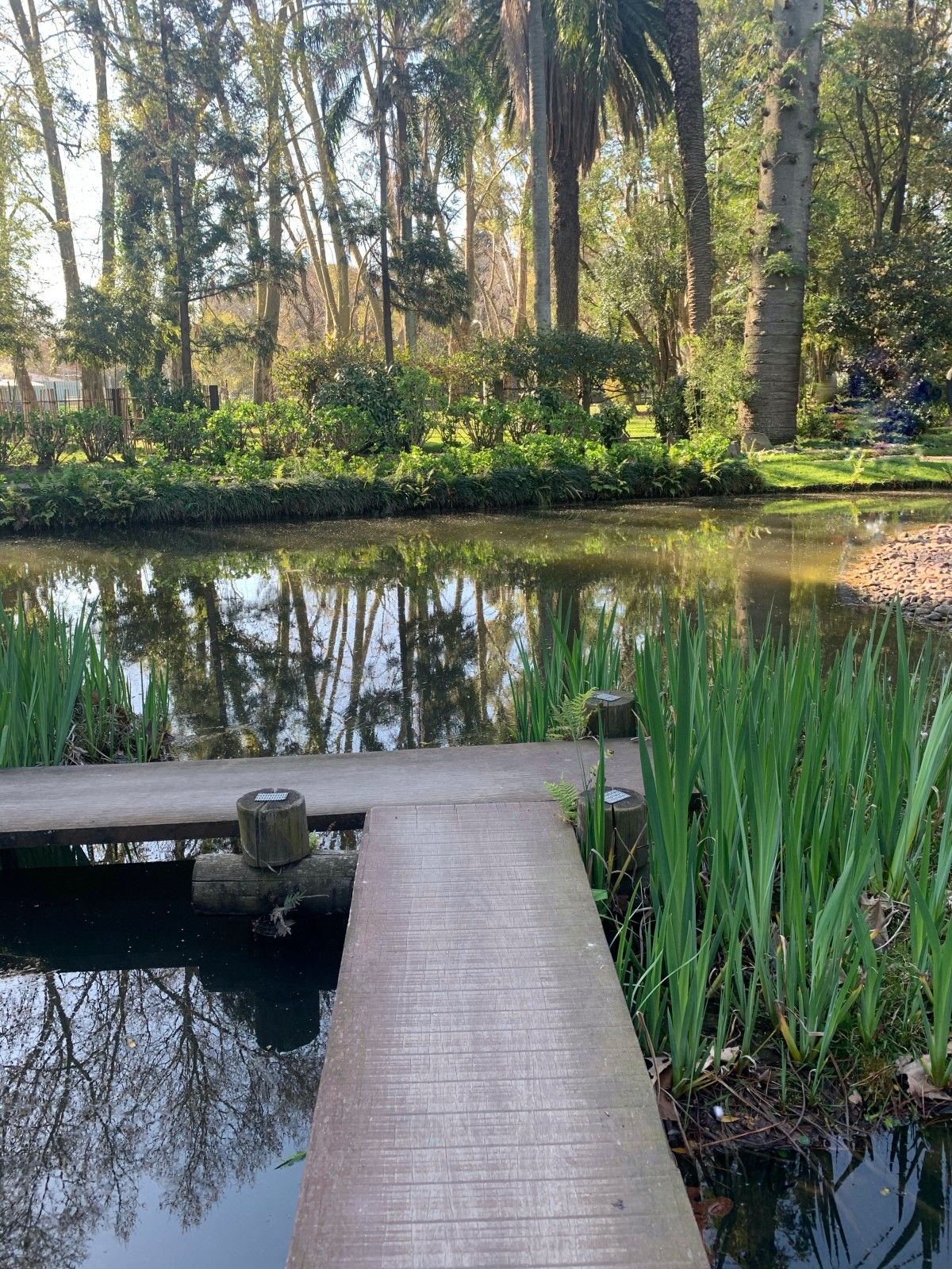 Jardins em Montevidéu. Conhecendo o Uruguai com crianças - 47