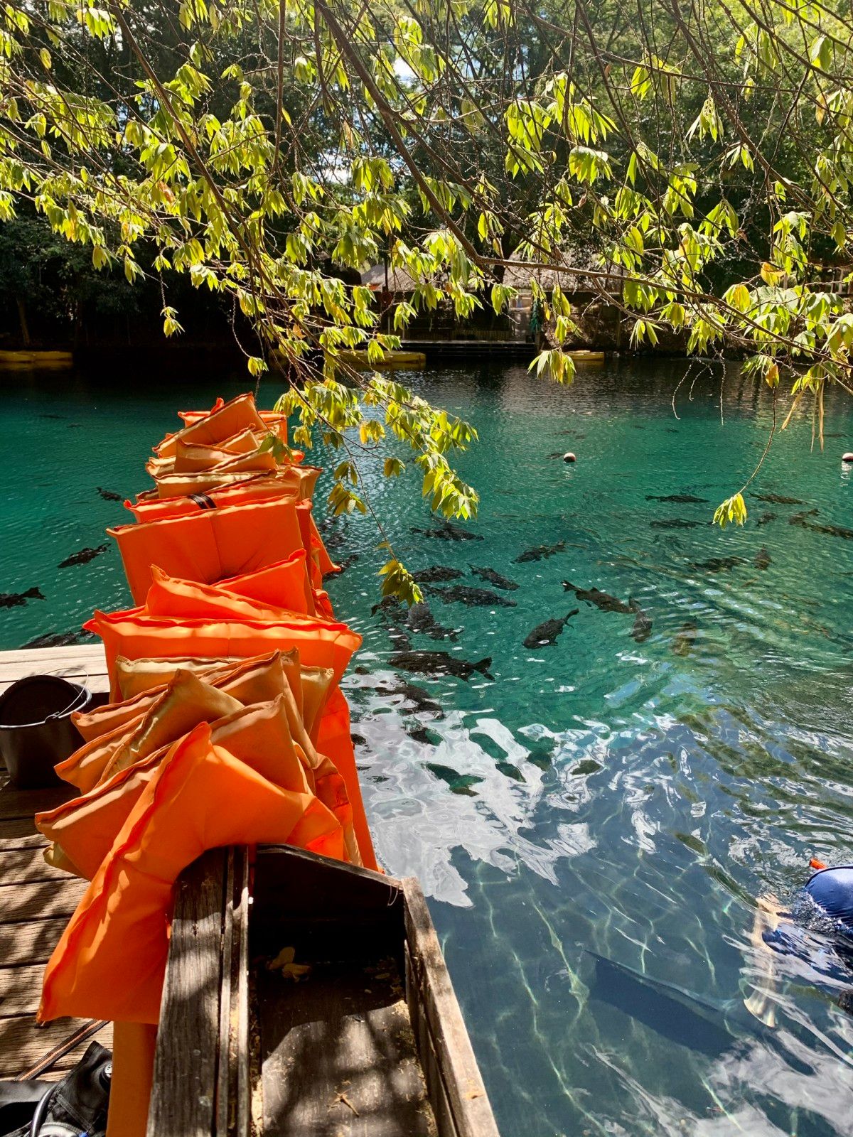 Hot Park no Rio Quente: o que você precisa saber! - 30