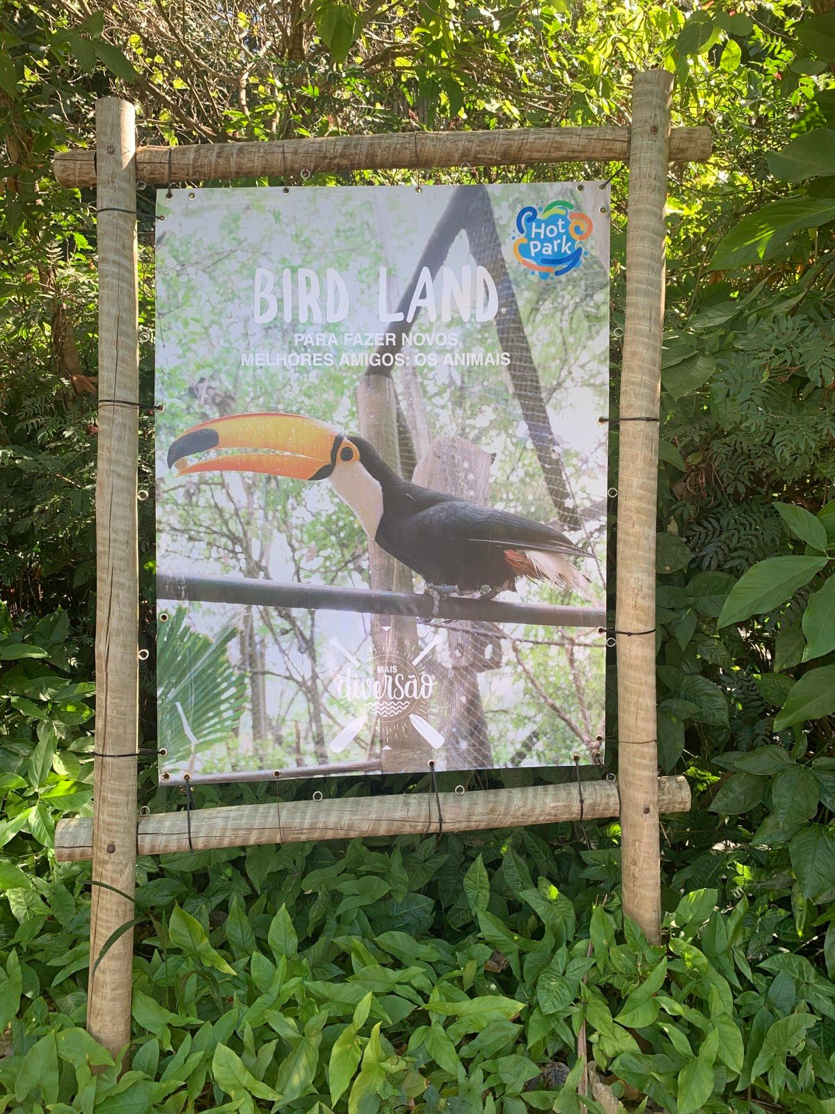 Hot Park no Rio Quente: o que você precisa saber! - 49