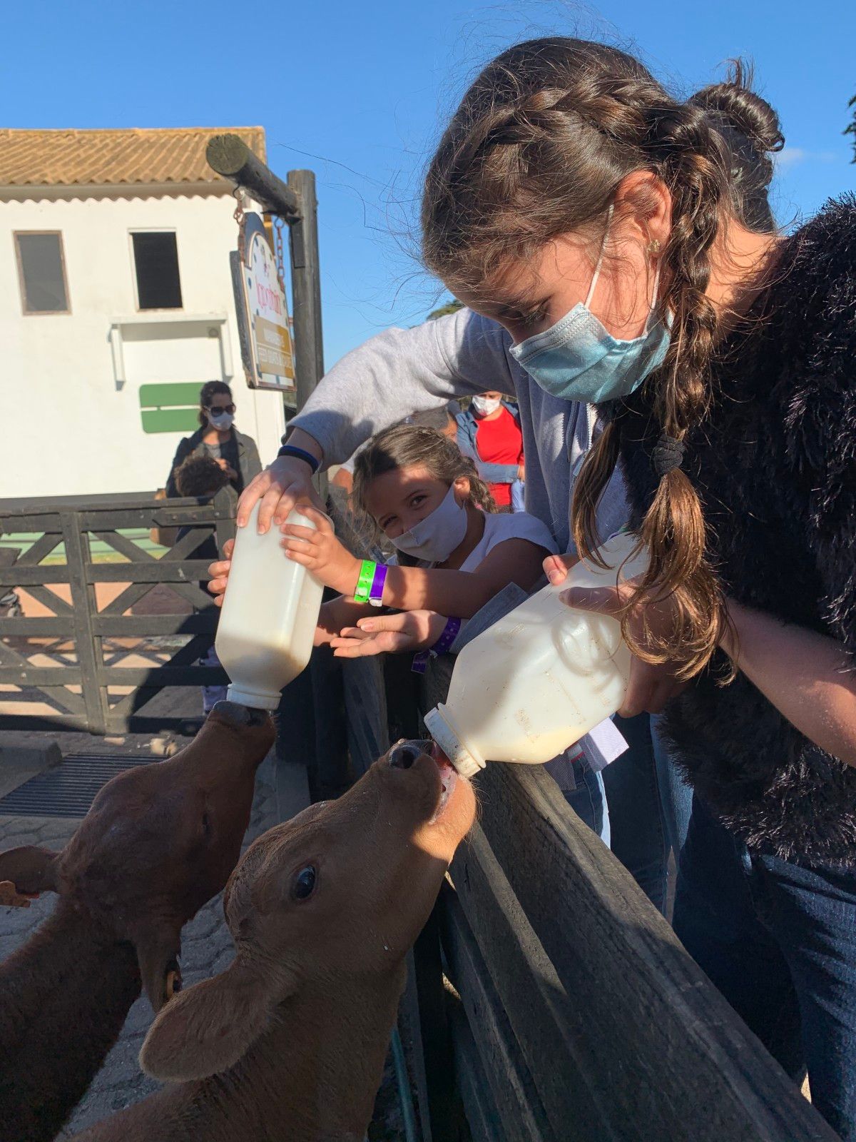 Fazenda Lapataia em Punta Del Este: conhecendo o Uruguay com crianças - 35