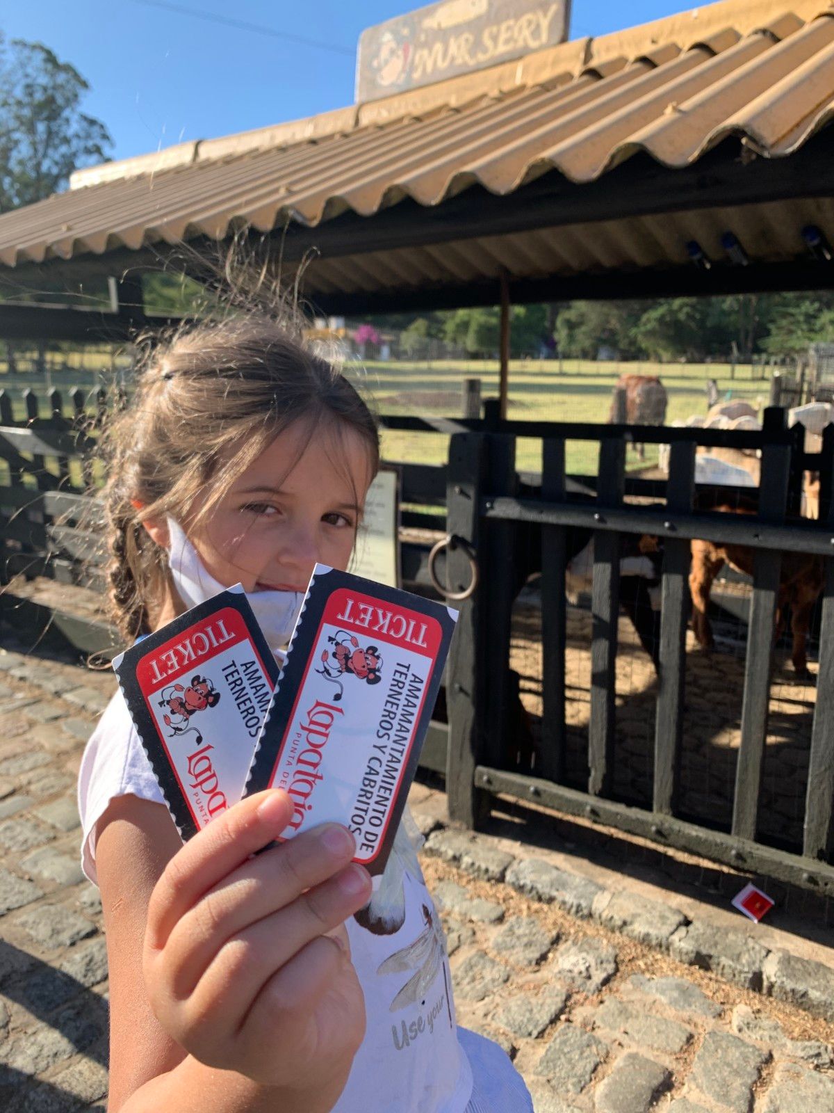 Fazenda Lapataia em Punta Del Este: conhecendo o Uruguay com crianças - 14