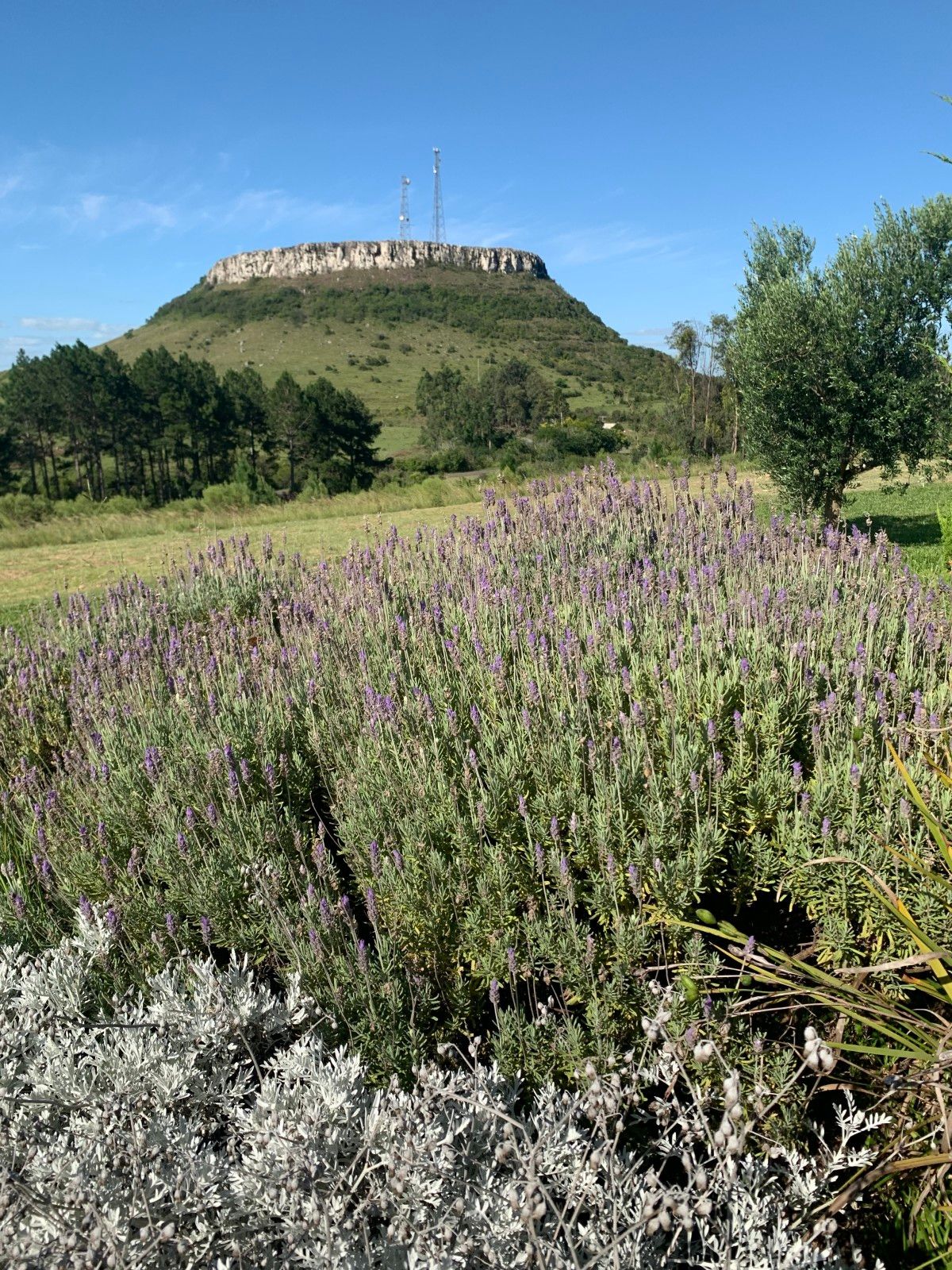 Provando delícias na rota Ferradura dos Vinhedos em Santana do Livramento - 17