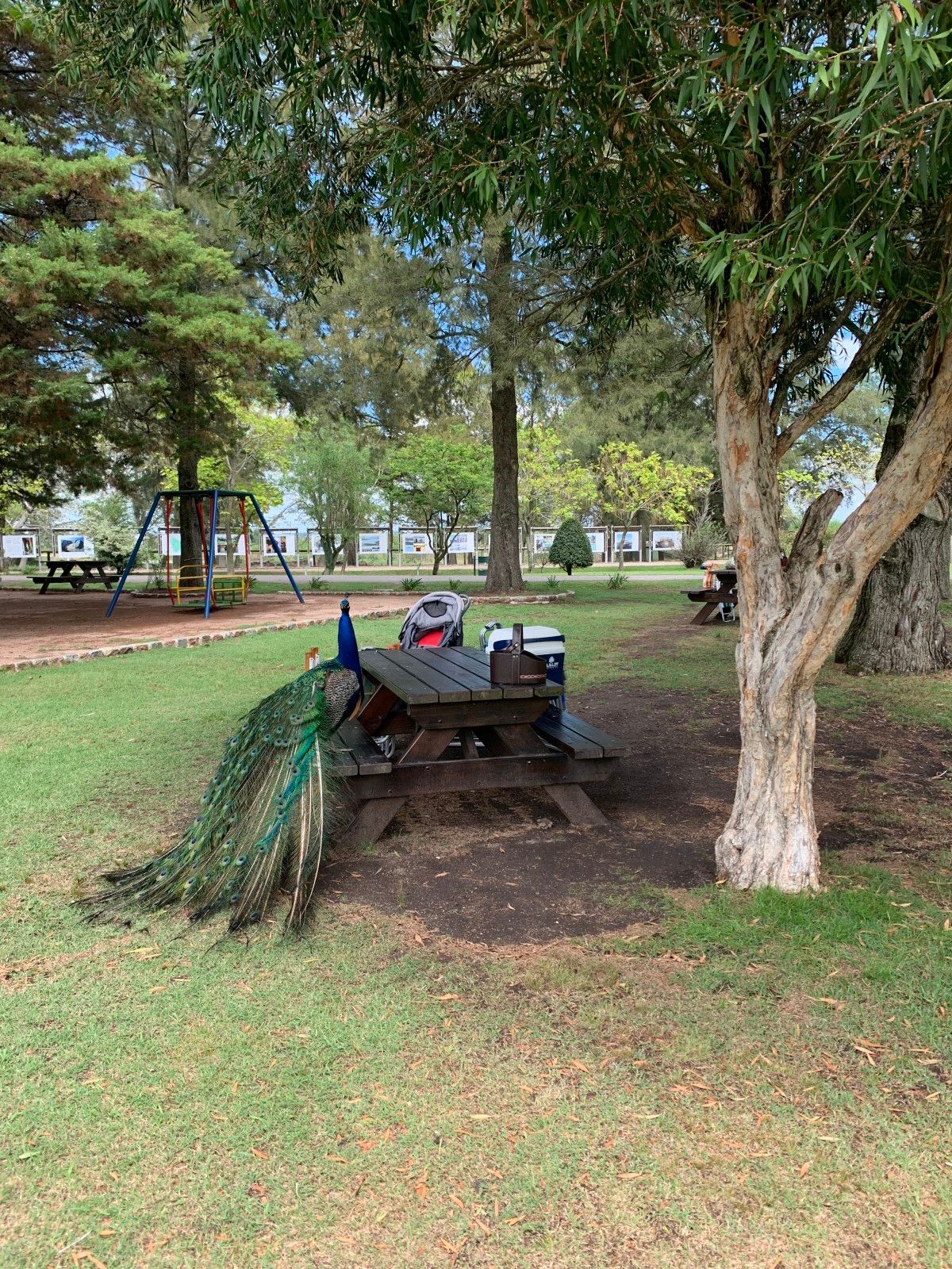 Bate e volta de Montevidéu: Ecoparque Talice - 43