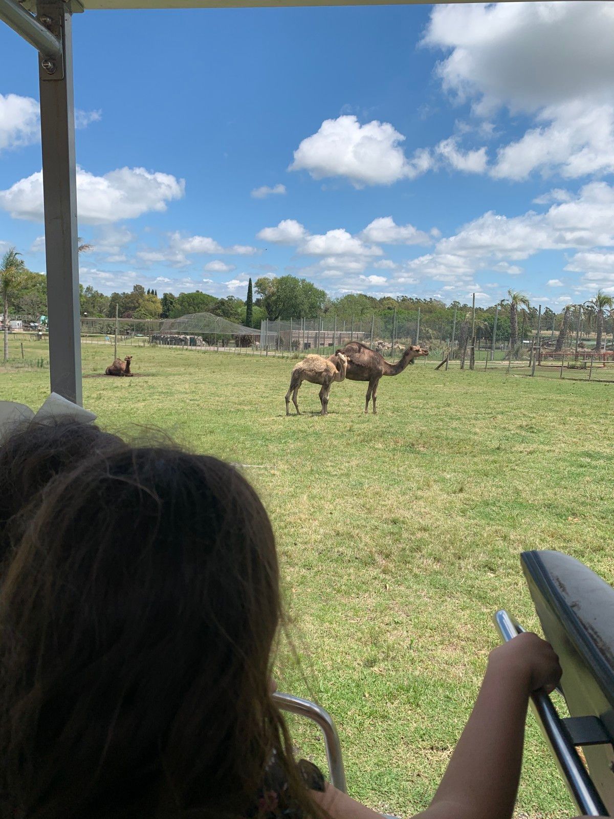 Bate e volta de Montevidéu: Ecoparque Talice - 32