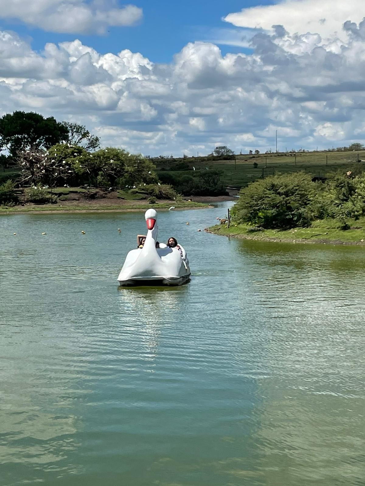 Bate e volta de Montevidéu: Ecoparque Talice - 35