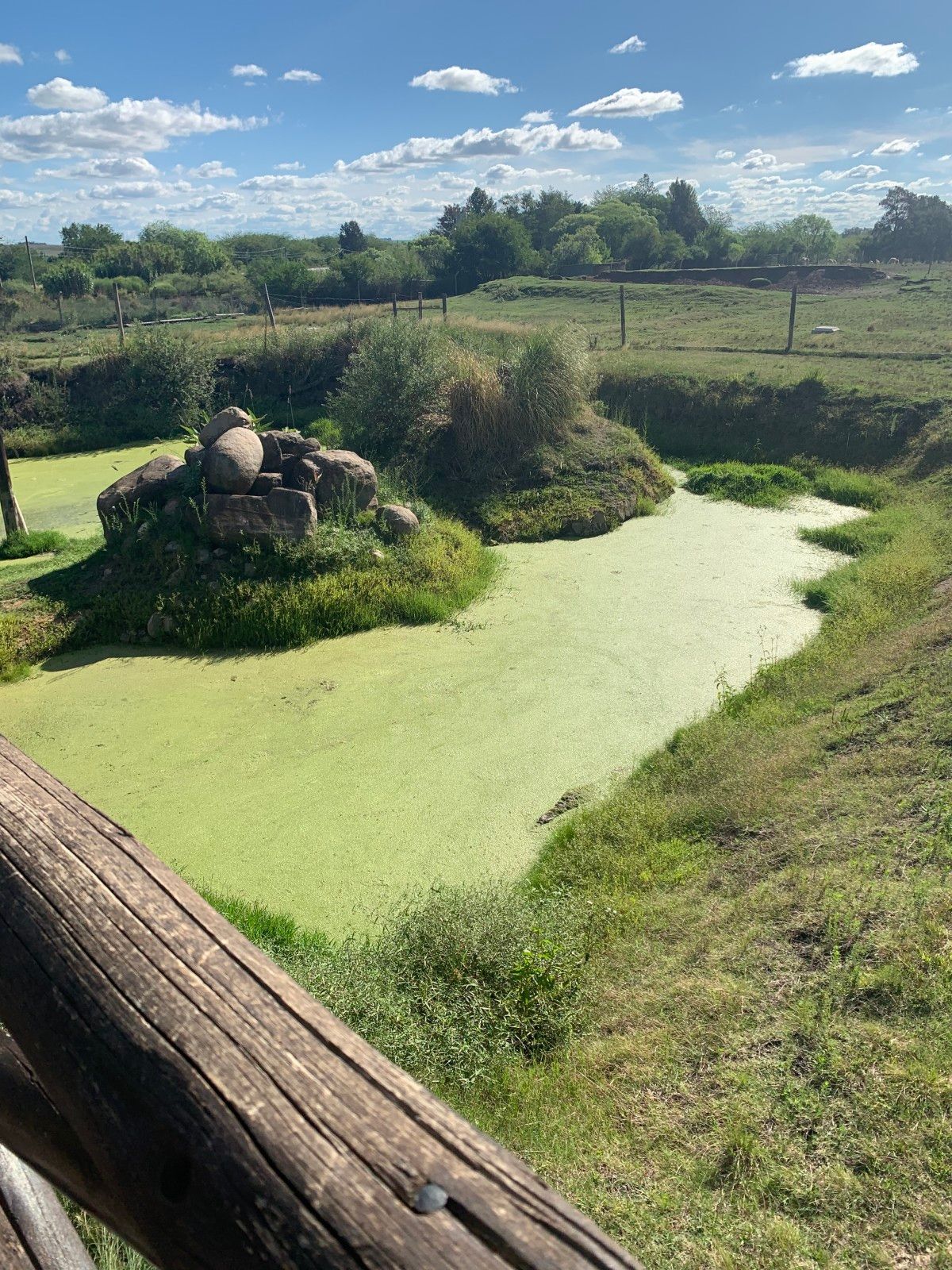 Bate e volta de Montevidéu: Ecoparque Talice - 20