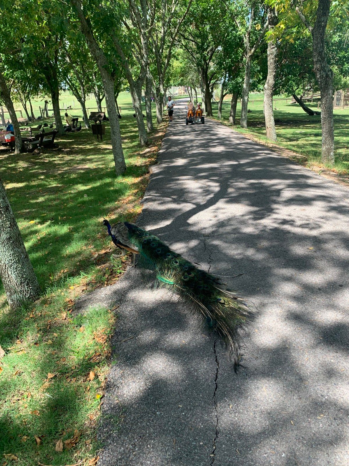 Bate e volta de Montevidéu: Ecoparque Talice - 27