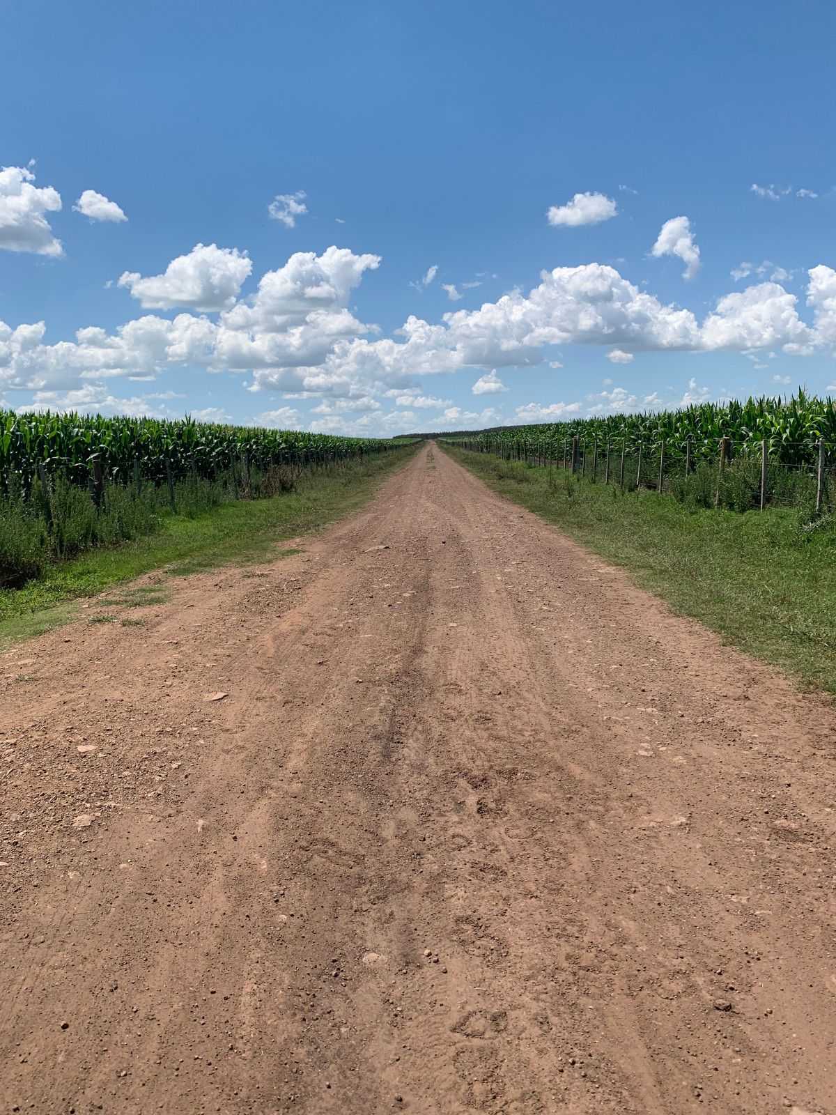 Casa del Lago:  hospedagem de Campo no Uruguay - 48