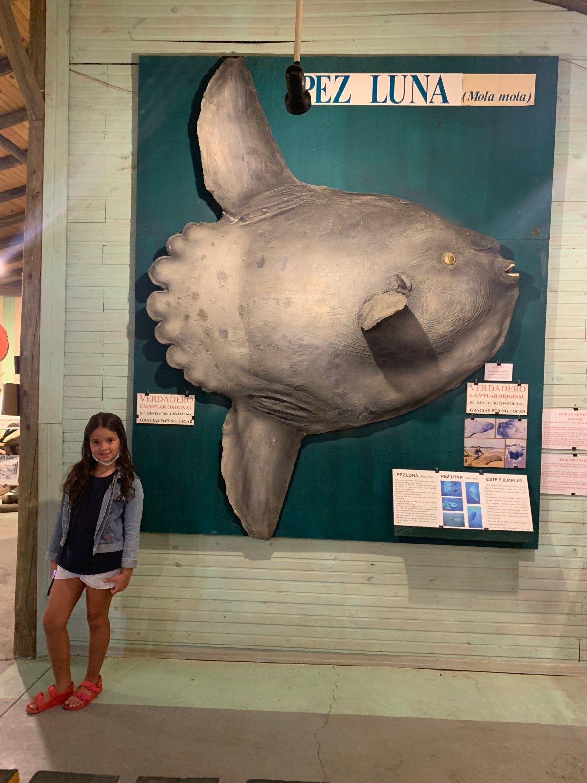 Museo del Mar em Punta del Este - 20