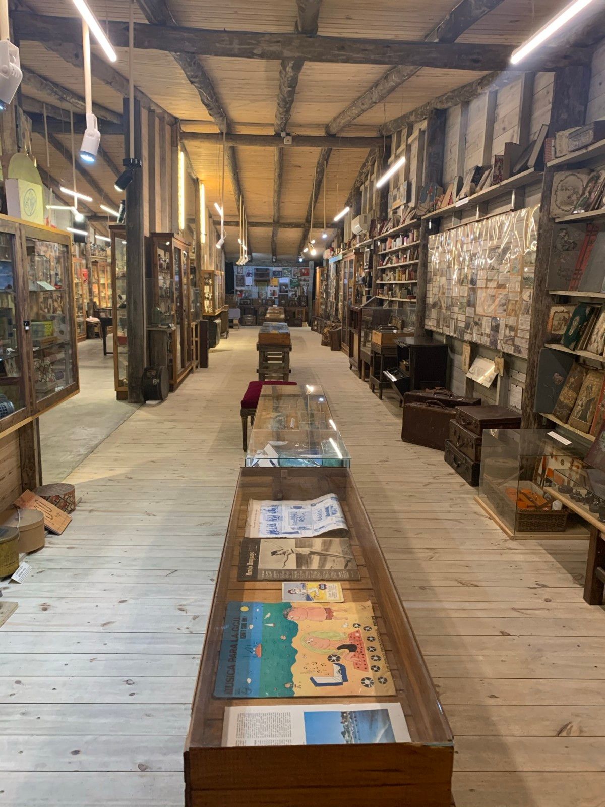 Museo del Mar em Punta del Este - 35