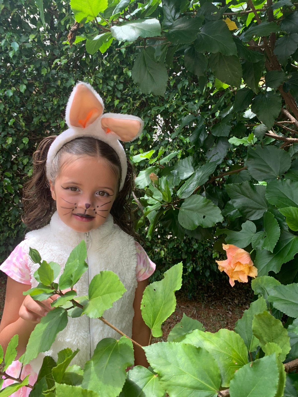 8 filmes e desenhos animados de Páscoa para assistir no feriado - 2