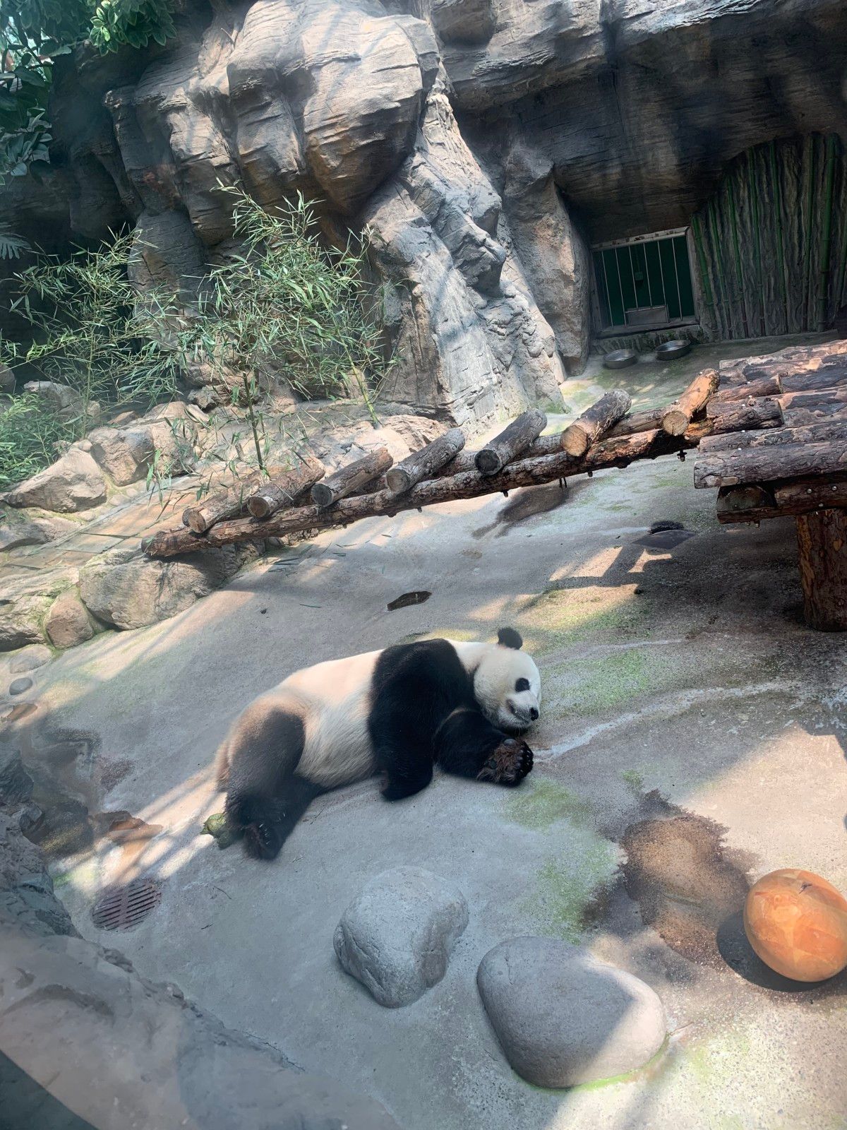 Roteiro de 15 dias na China: uma viagem mãe e filha - 39