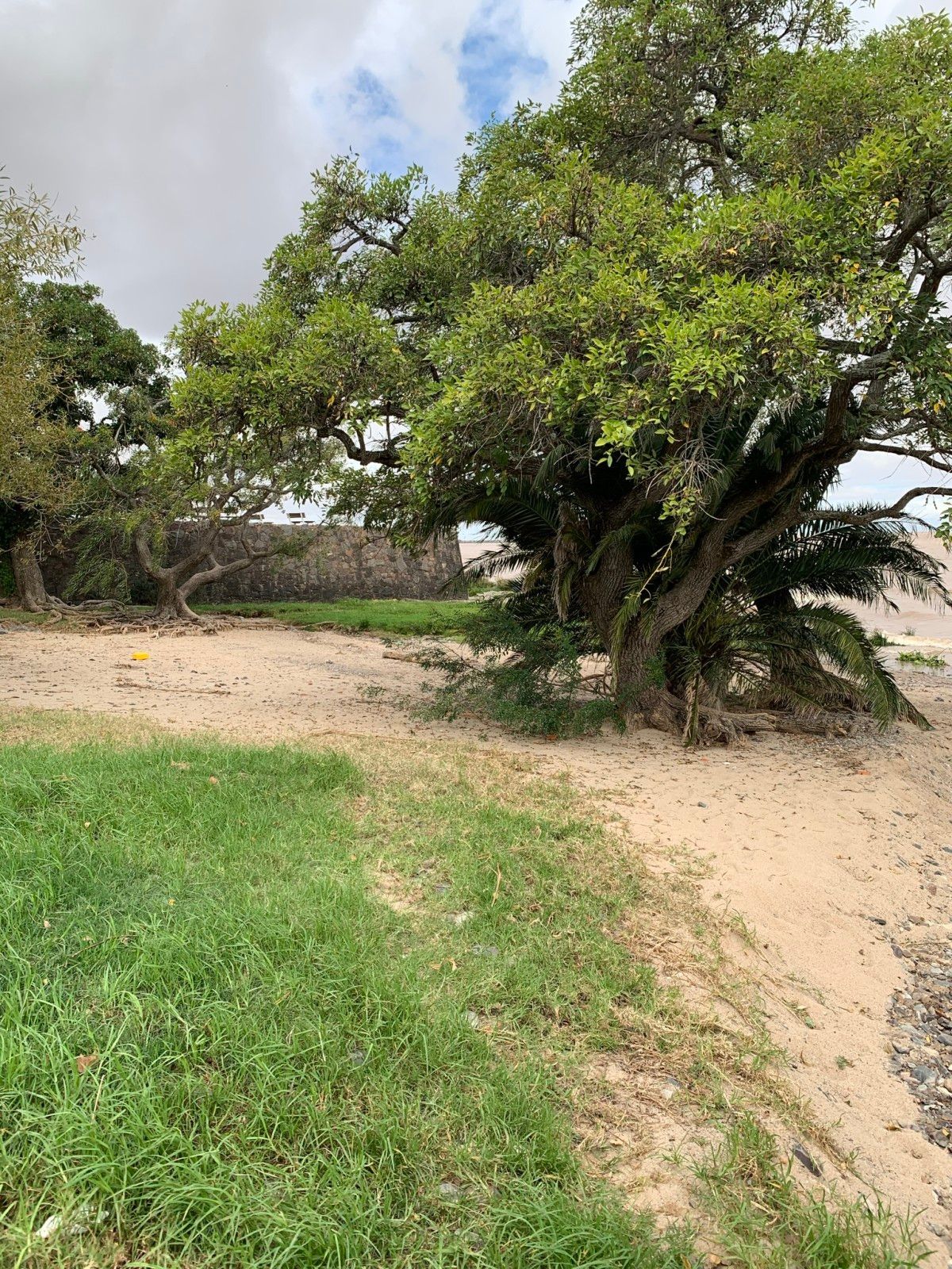 Walking Tour guiado pelo bairro histórico de Colonia  del Sacramento - 18