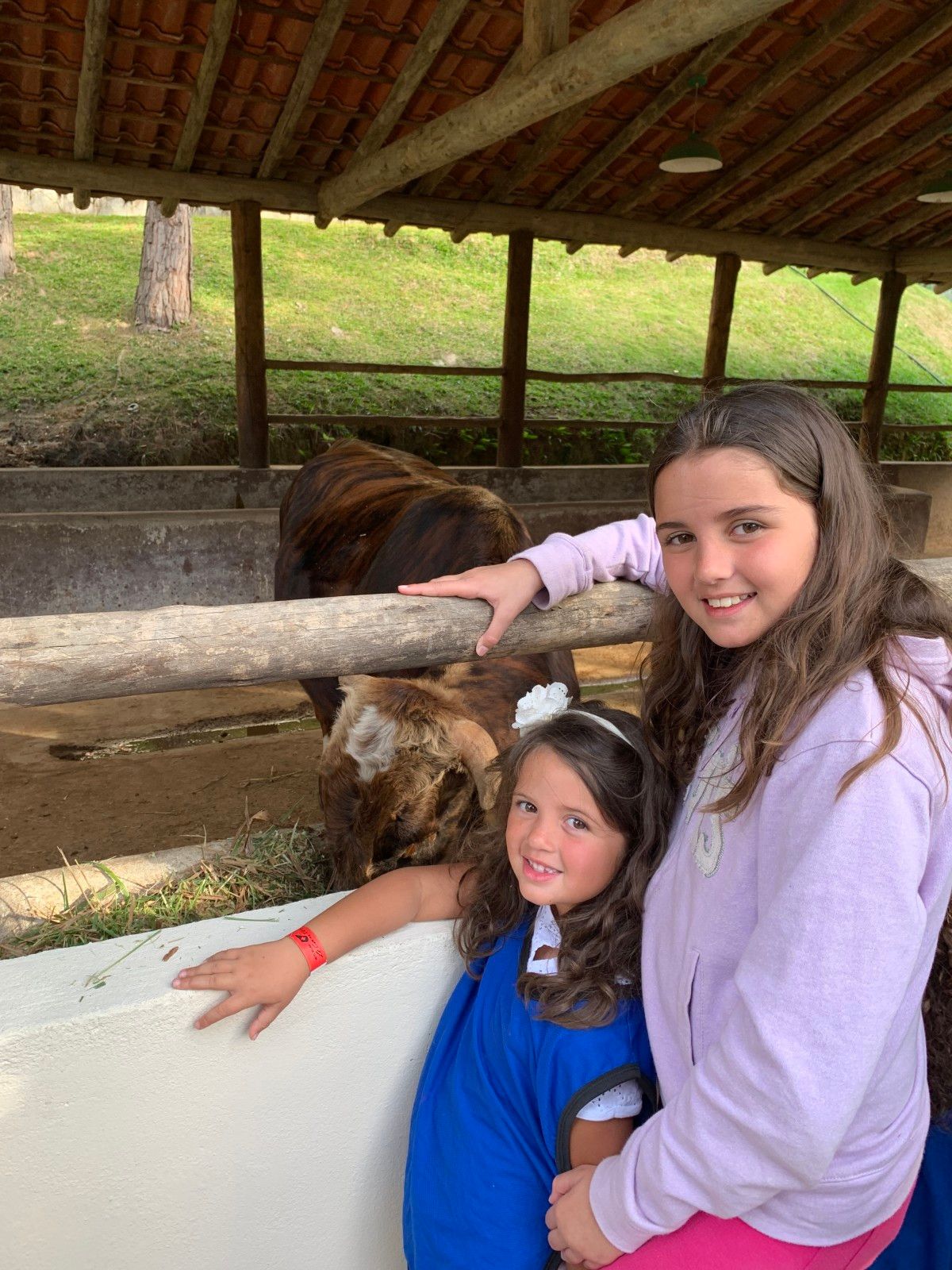 Como é se hospedar no Le Canton, em Teresópolis , no inverno - 56