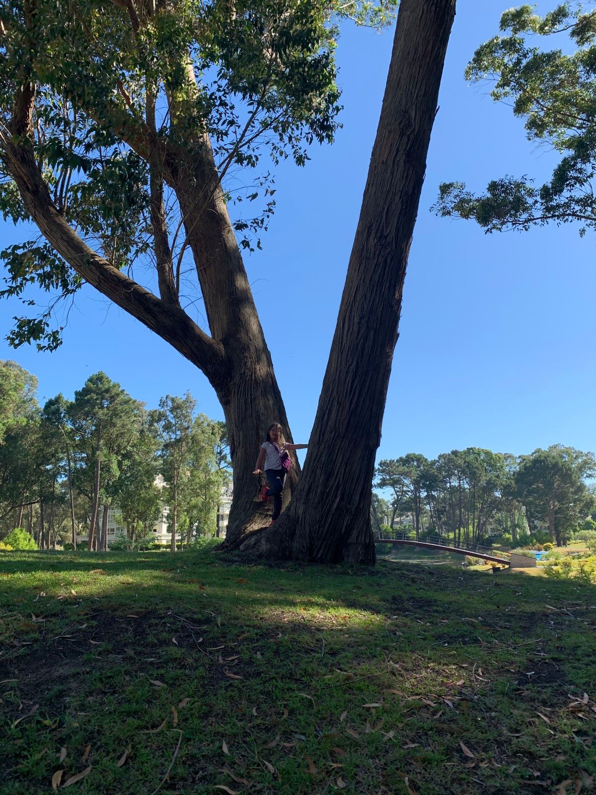 Onde se hospedar em Punta del Este - 52