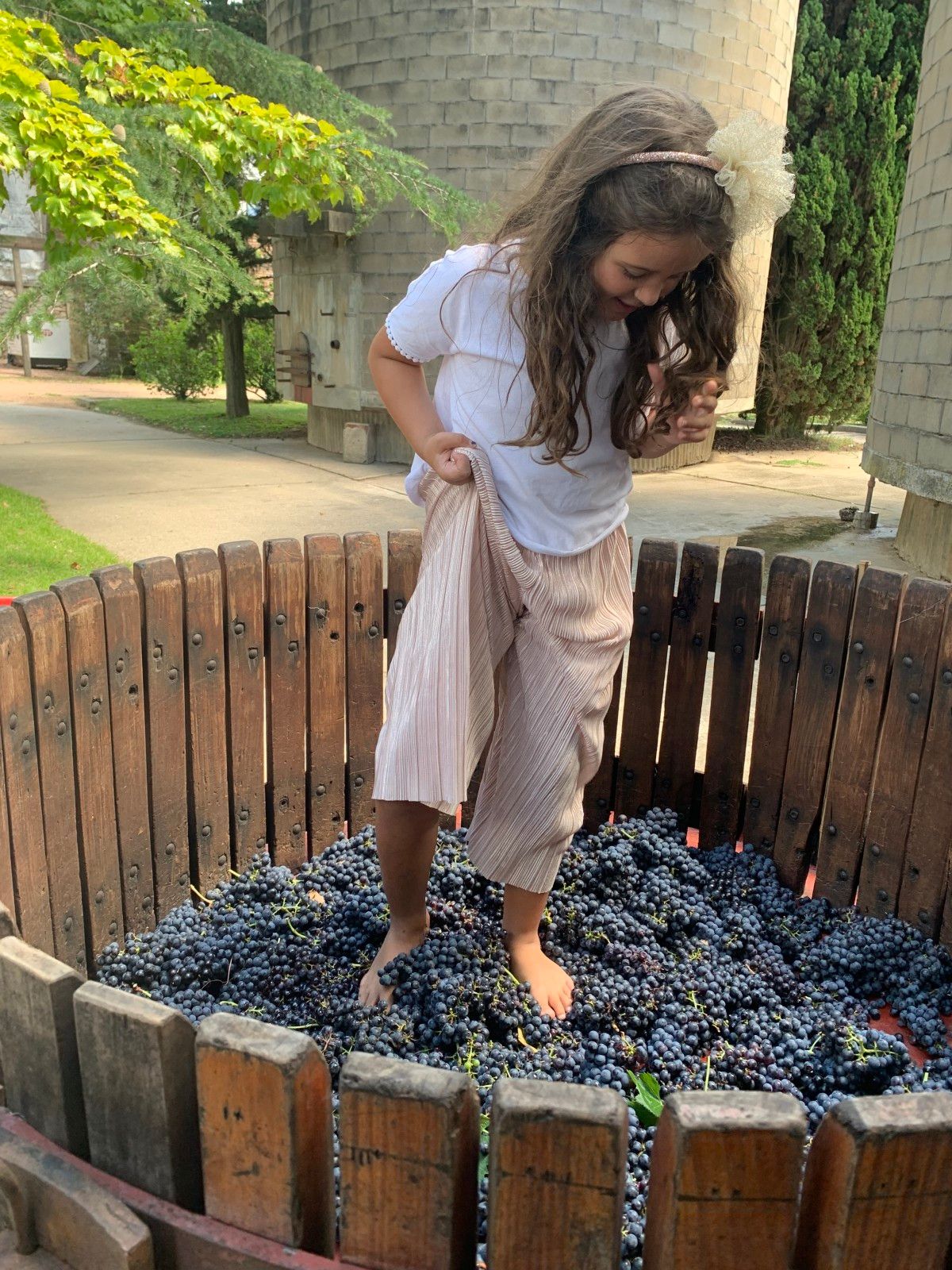 O que fazer em Montevidéu: 10 atrações imperdíveis - 72