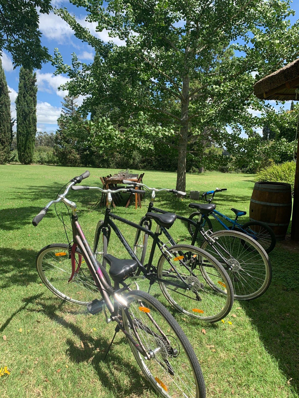 O que fazer em Montevidéu: 10 atrações imperdíveis - 73