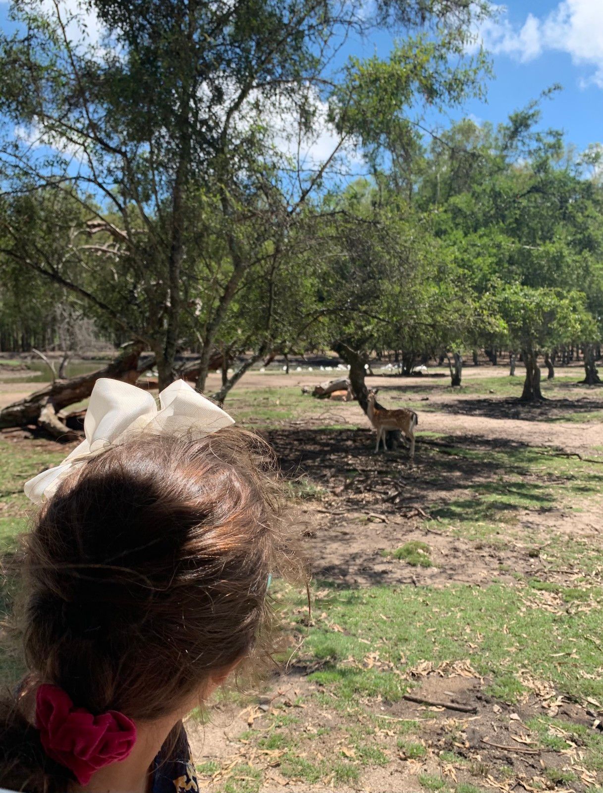 Bate e volta de Montevidéu: Ecoparque Talice - 31