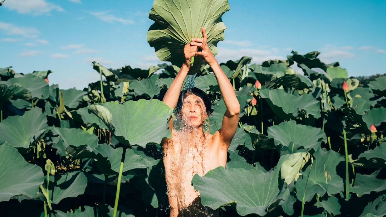 Tratamento com cannabis: uso terapêutico e benefícios para saúde - 2